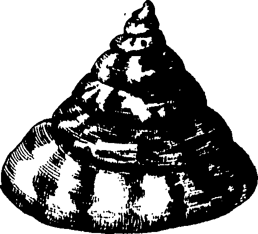 110/110950080000070_1.png