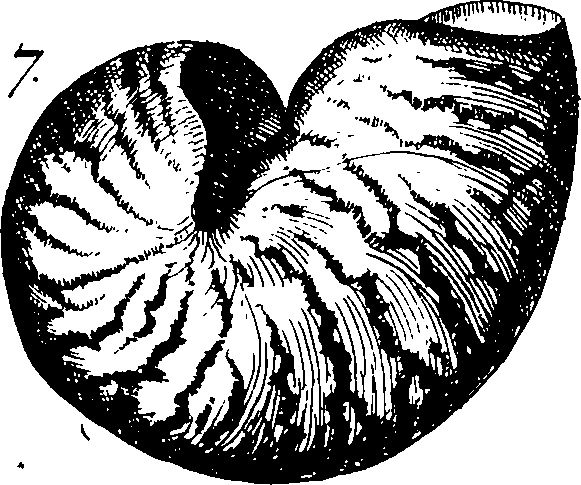 110/110950080000070_2.png