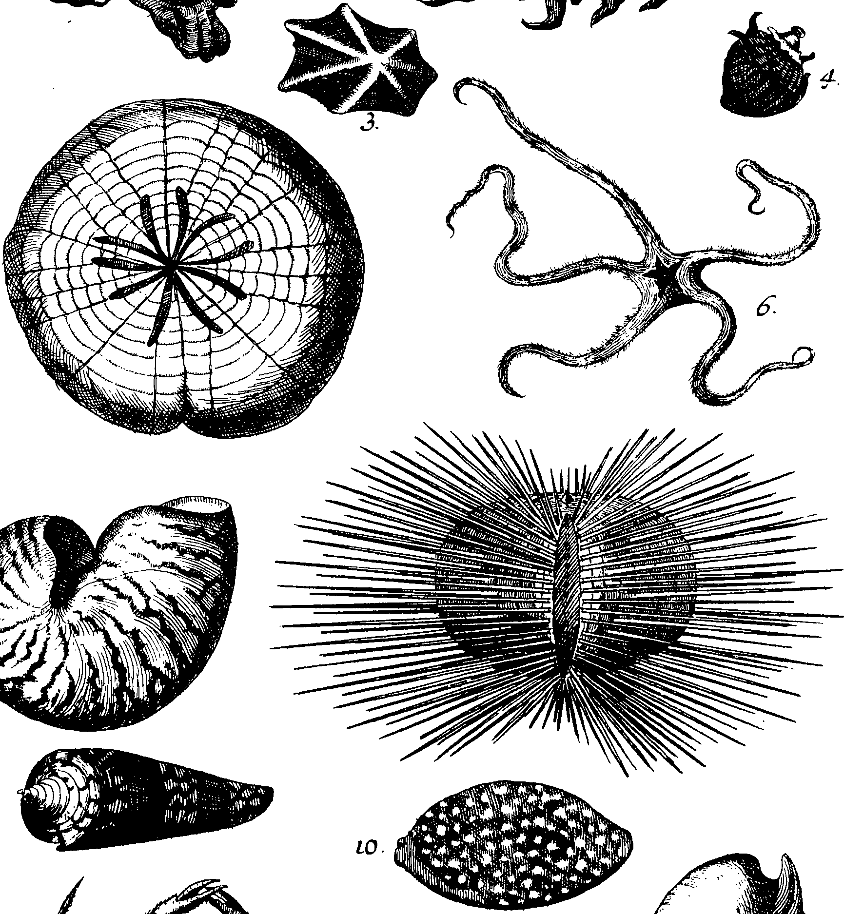 110/110950080000070_3.png