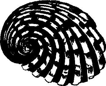 110/110950080000090_1.png