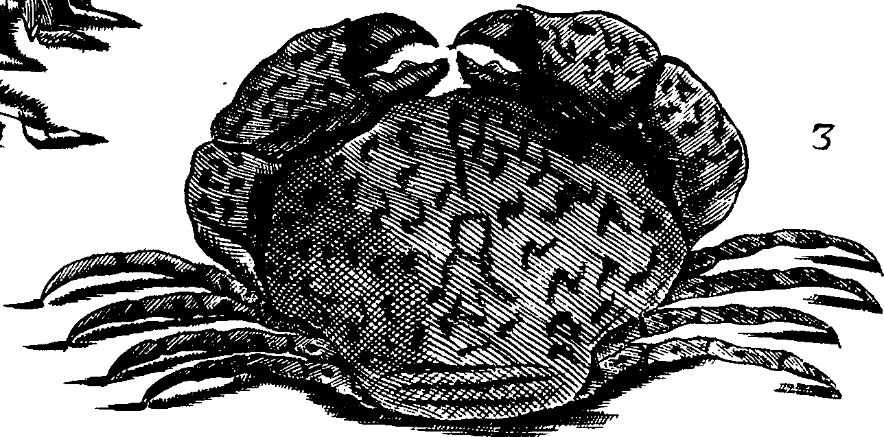 110/110950080000100_2.png