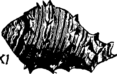 110/110950080000120_1.png