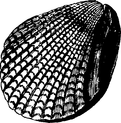 110/110950080000120_2.png