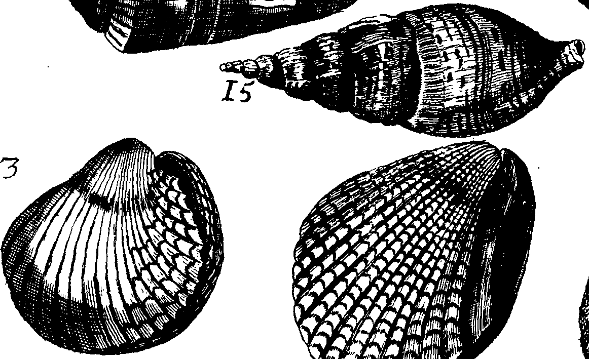 110/110950080000120_3.png
