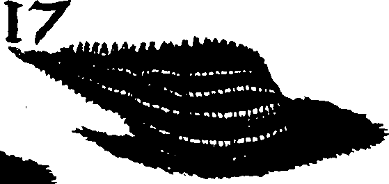 110/110950080000130_1.png