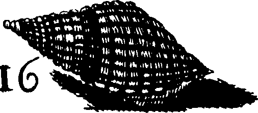 110/110950080000130_2.png