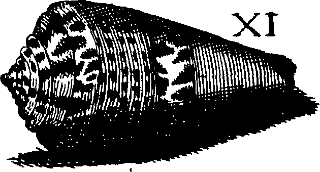 110/110950080000130_3.png
