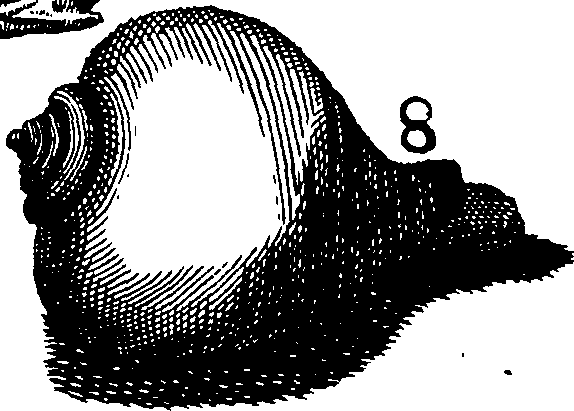 110/110950080000130_4.png