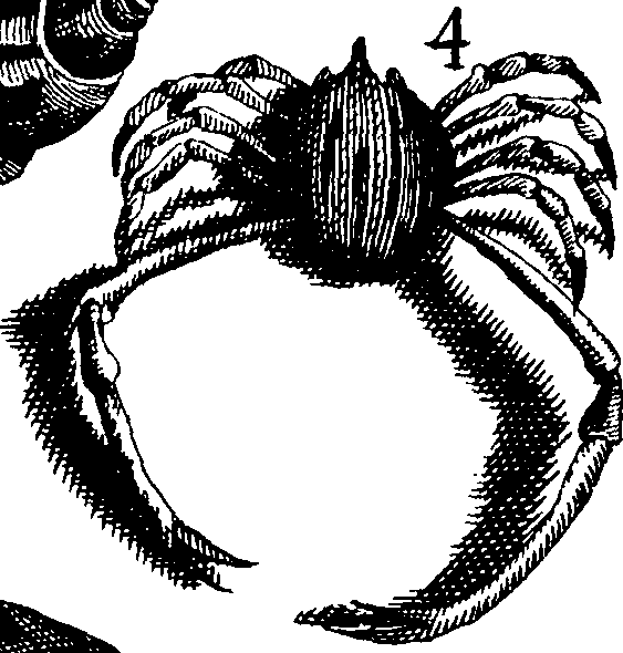 110/110950080000130_5.png