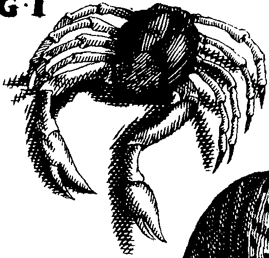 110/110950080000130_6.png