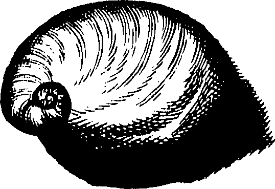 110/110950080000140_1.png