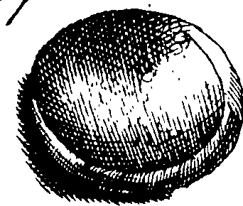 110/110950080000140_2.png