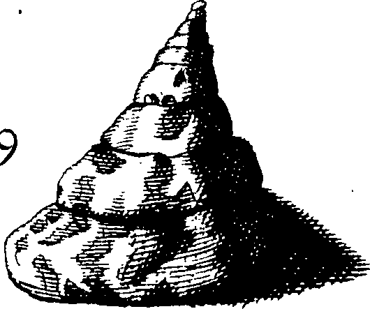 110/110950080000140_3.png