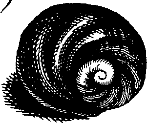 110/110950080000140_4.png