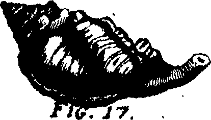 110/110950080000150_1.png