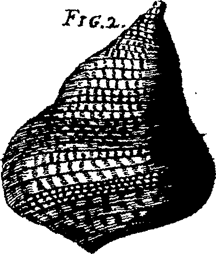 110/110950080000150_10.png