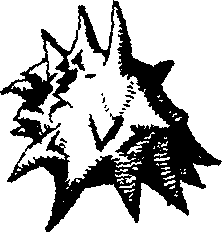 110/110950080000150_4.png