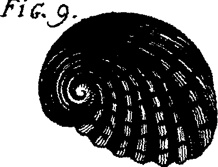 110/110950080000150_5.png