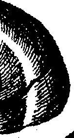 110/110950080000150_6.png