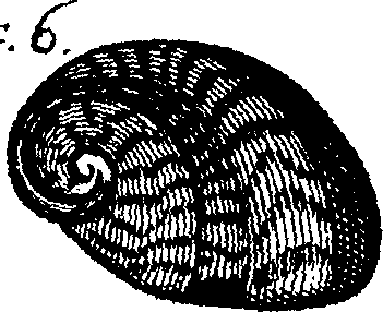 110/110950080000150_7.png
