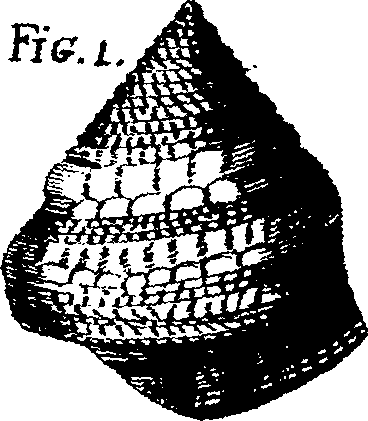 110/110950080000150_8.png