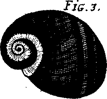 110/110950080000150_9.png