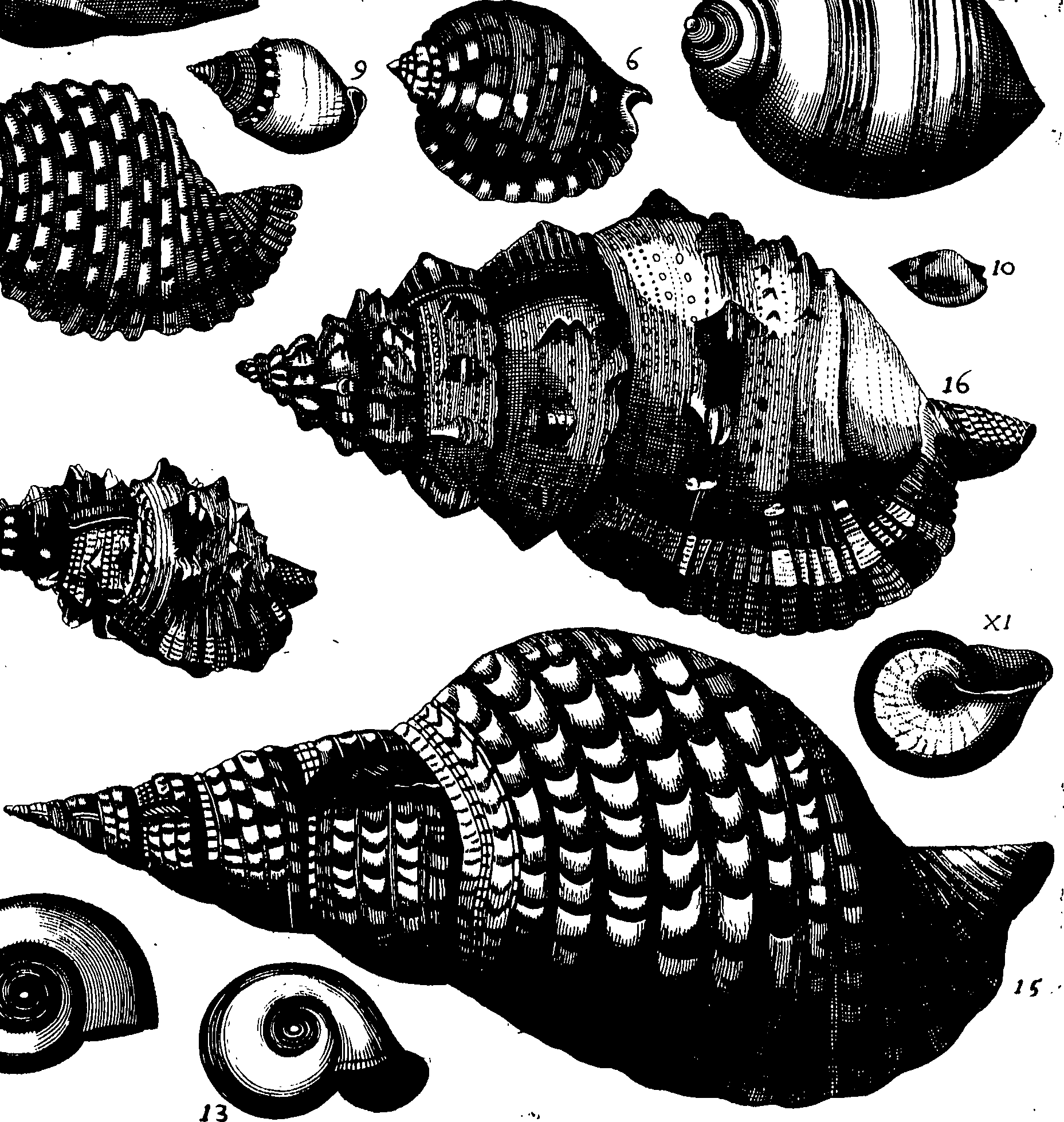 110/110950080000160_1.png