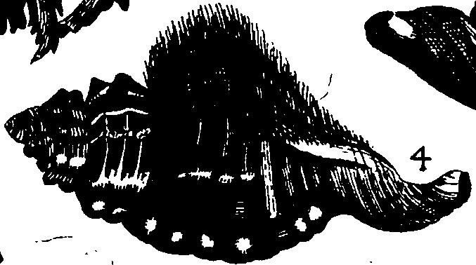 110/110950080000160_2.png