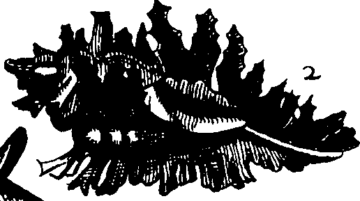 110/110950080000160_3.png