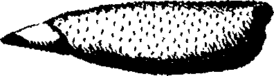 110/110950080000170_2.png