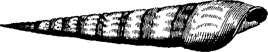 110/110950080000170_3.png