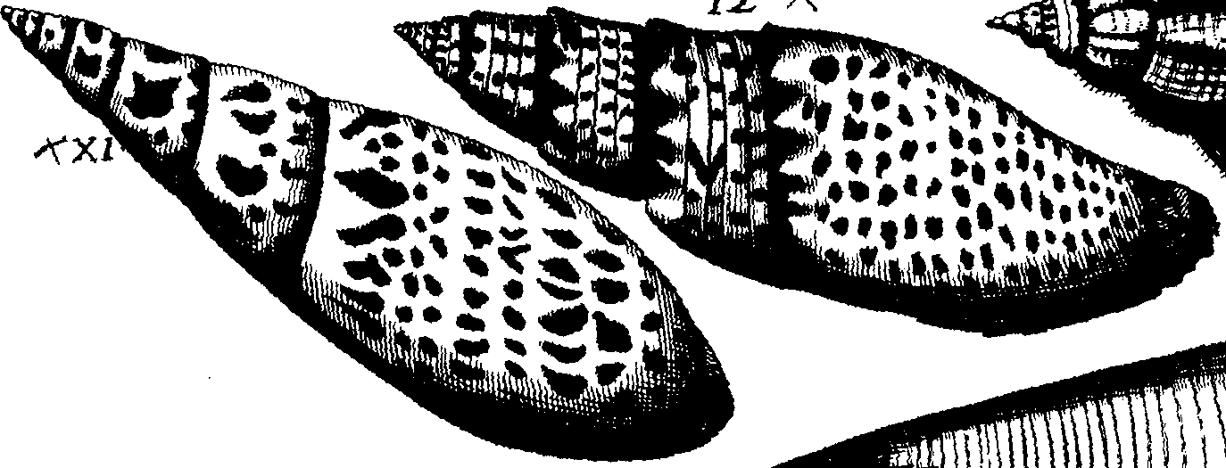 110/110950080000170_4.png