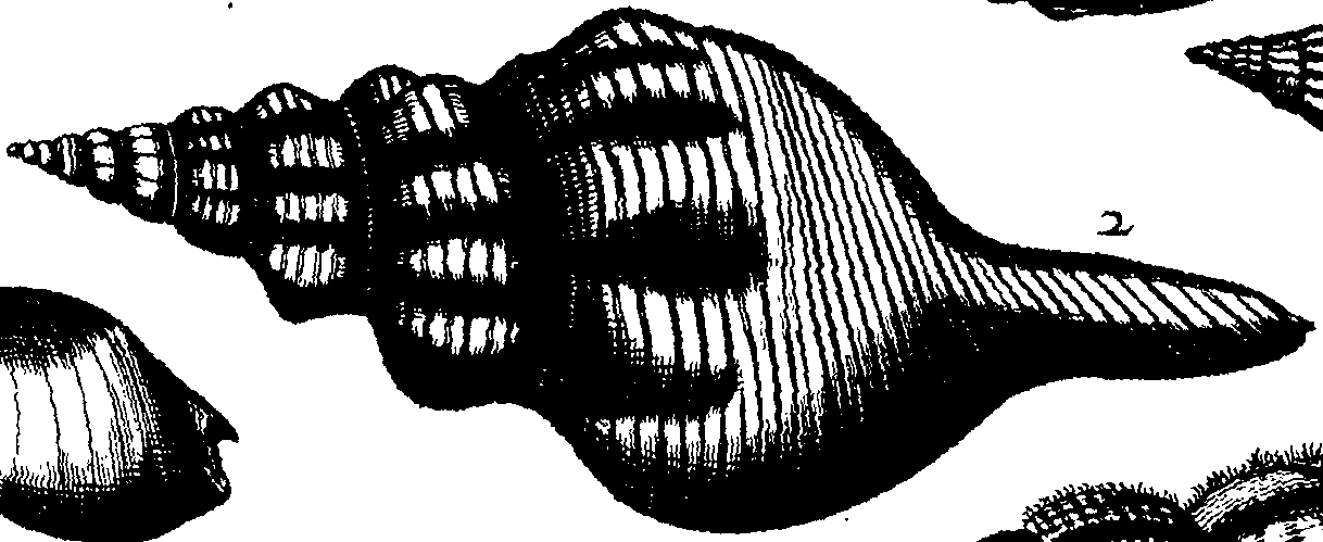 110/110950080000170_5.png