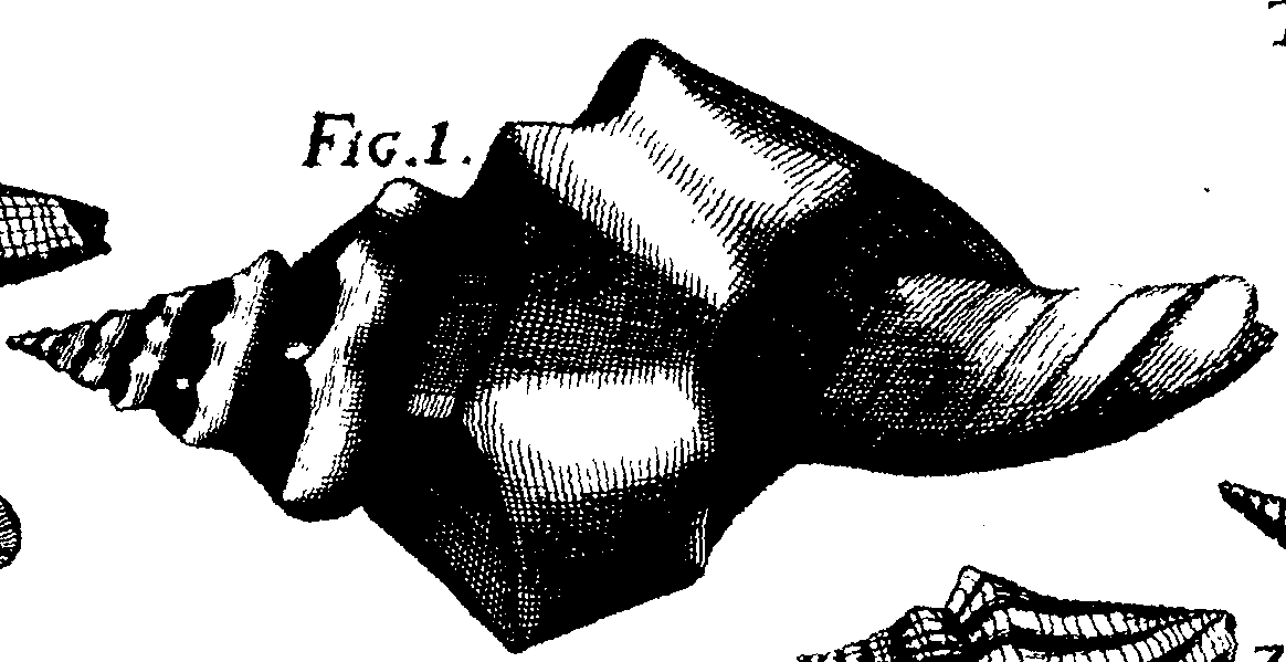 110/110950080000170_6.png