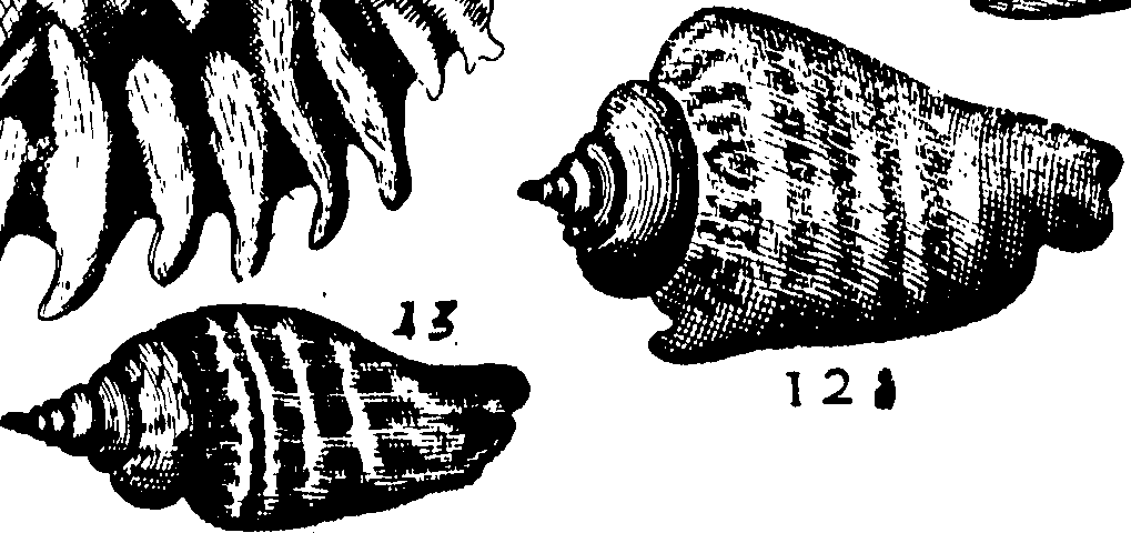 110/110950080000180_1.png
