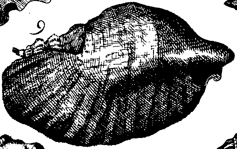 110/110950080000180_2.png