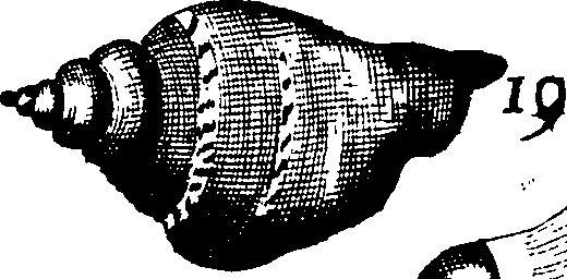 110/110950080000180_3.png