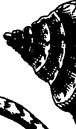 110/110950080000180_4.png