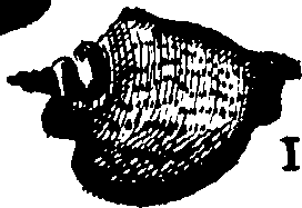 110/110950080000180_5.png
