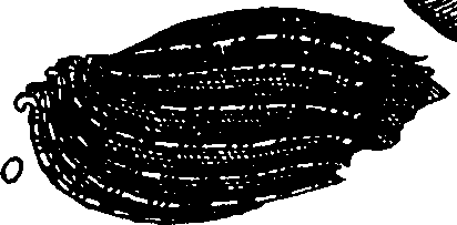110/110950080000190_2.png