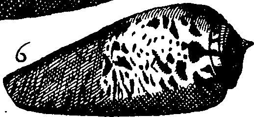 110/110950080000190_3.png