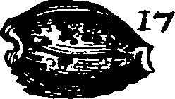 110/110950080000200_5.png