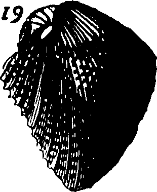 110/110950080000220_1.png