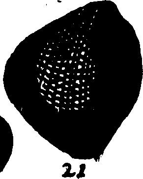 110/110950080000220_2.png