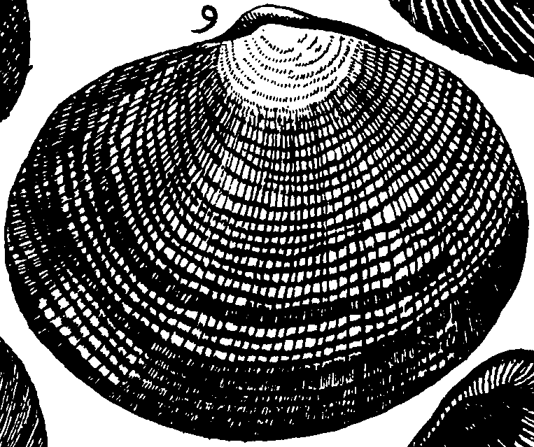 110/110950080000220_4.png
