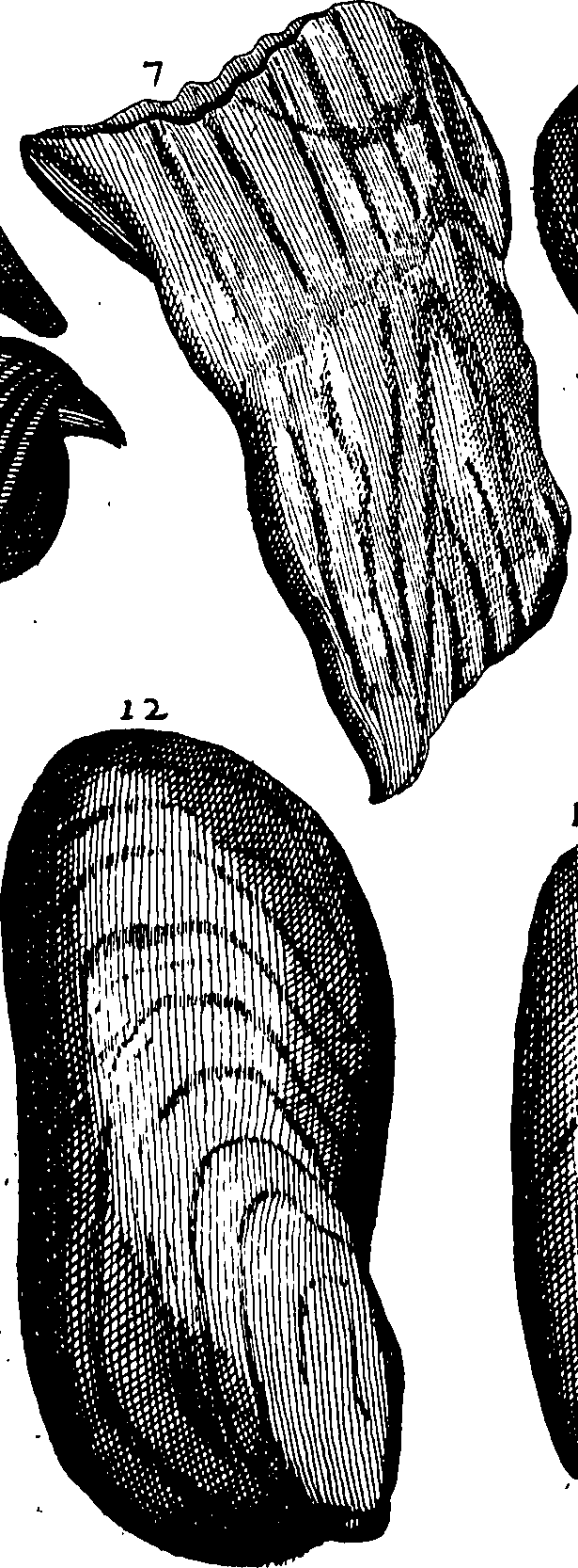 110/110950080000230_0.png