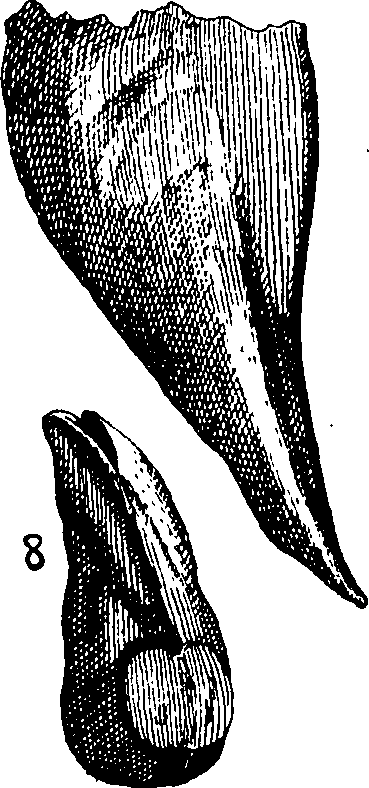 110/110950080000230_1.png
