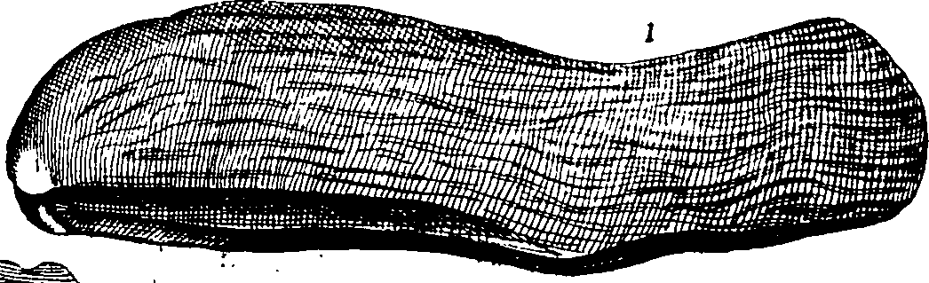 110/110950080000230_2.png