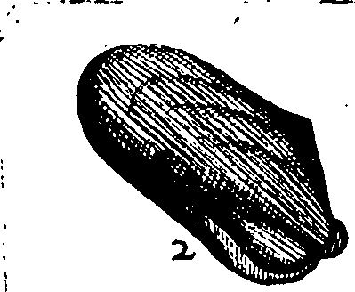 110/110950080000230_3.png