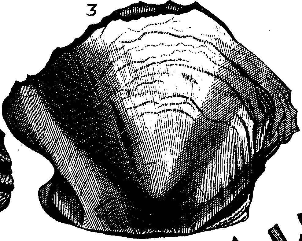 110/110950080000240_2.png